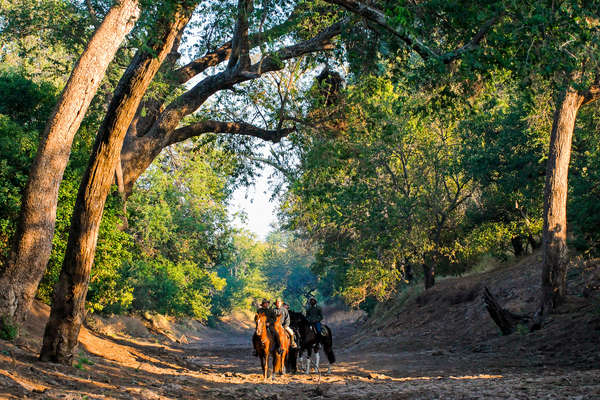 Riders on a horseback safari in Botswana
