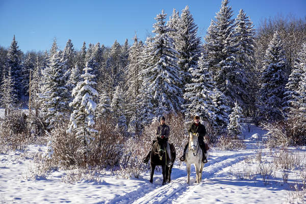 Riders on a riding holiday in Canada in the winter