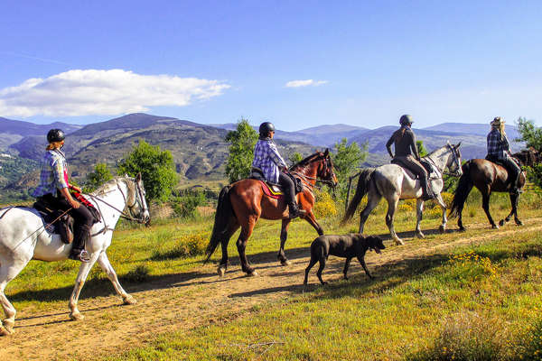Riders on a trail ride in Andalusia with hills in the background