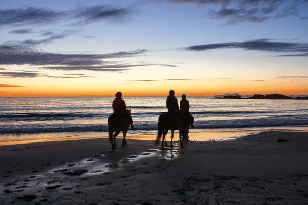 Riders on Gimsøy island riding out to the beach at sunset