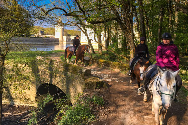 Riders on horseback in the woods near Chenonceau