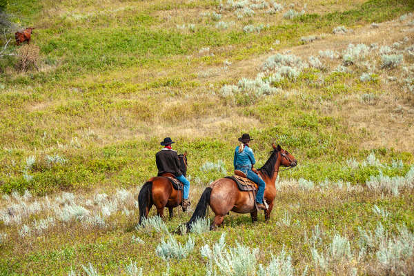 Riders on horseback in Wyoming, USA