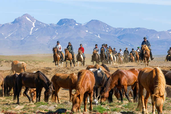 Riders on the Kjolur Trail pushing a herd of horses