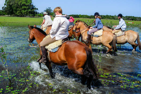 Riders riding horses in water, Uruguay