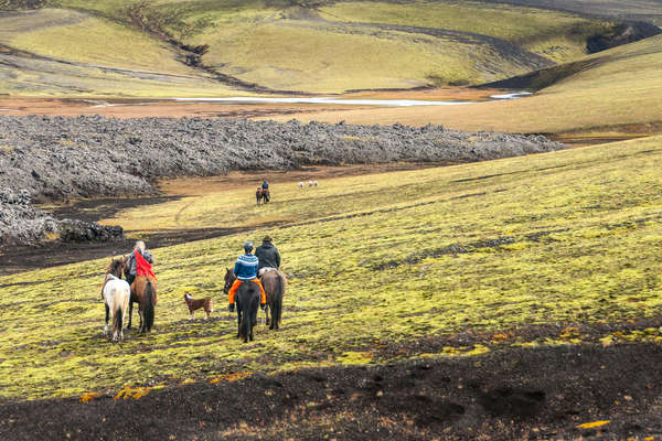 Riders riding icelandic horses in Iceland