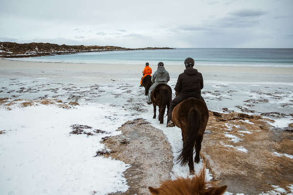 Riders riding in the beach with a snowy background in Gimsøy