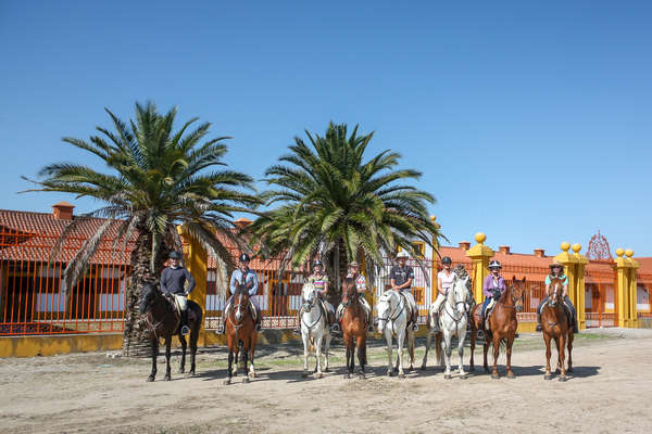 Riders riding Lusitano horses in Portugal