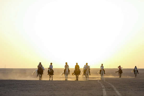 Riders riding out into the sunset in Egypt