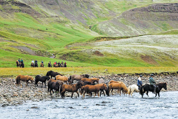 Riders watching loose Icelandic horses from a distance