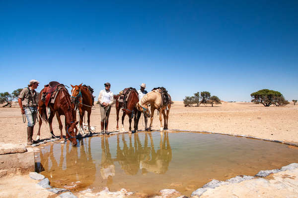 Riders watering their horses at a local waterhole during a trail