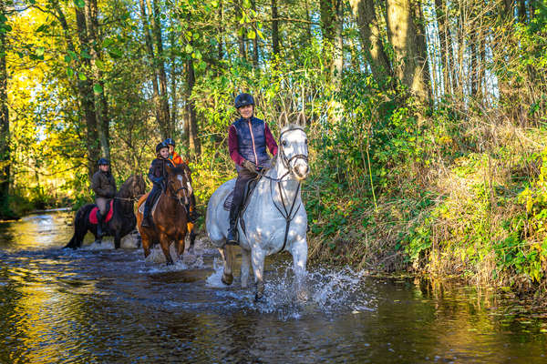 Riders wlaking their horses down a stream in Poland