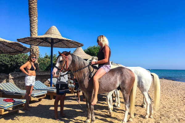 Riding alongside the red sea on Arabian horses