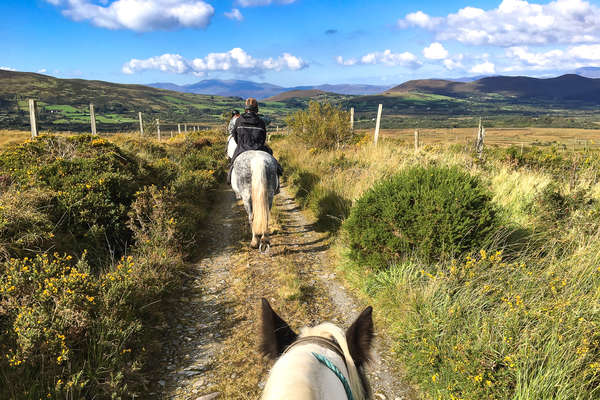 Riding holiday in Ireland