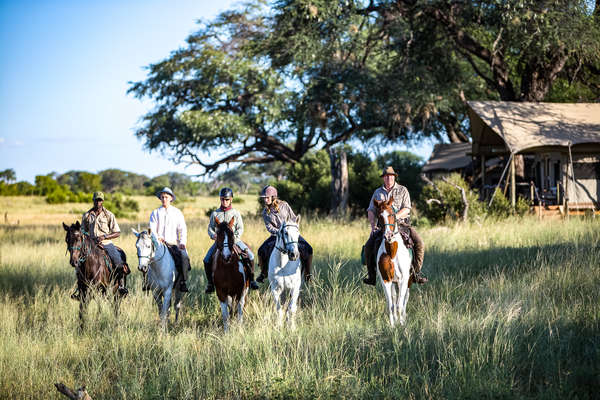 Riding out from camp in Hwange, Zimbabwe