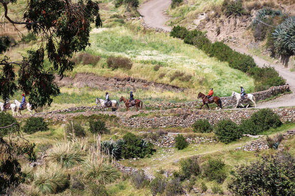 Riding trail in the heart of the Andes