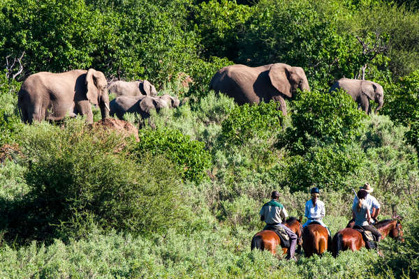 Riding with elephant in Botswana, African Explorer