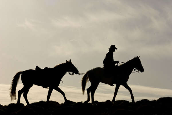 Silhouette of rider and horses in Morocco