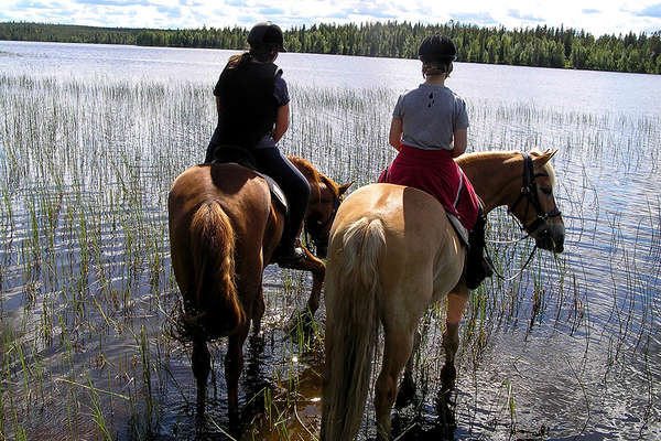 Summer horseback trail in Finland