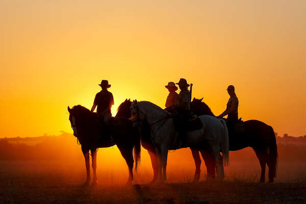 Sun set ride on a horse safari, Botswana