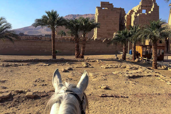 Temples seen from horseback in the Valley of the Kings