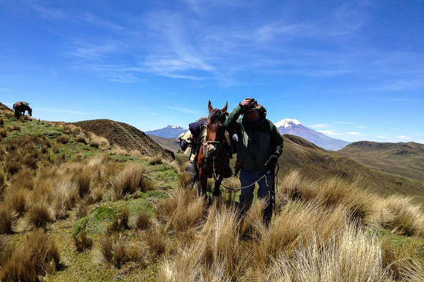Trail riders and horses riding in Ecuador in the Avenue of Volcanoes