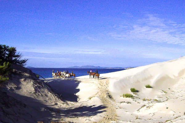 Trail riders on horseback in Sardinia, standing on a beach and watching the sea