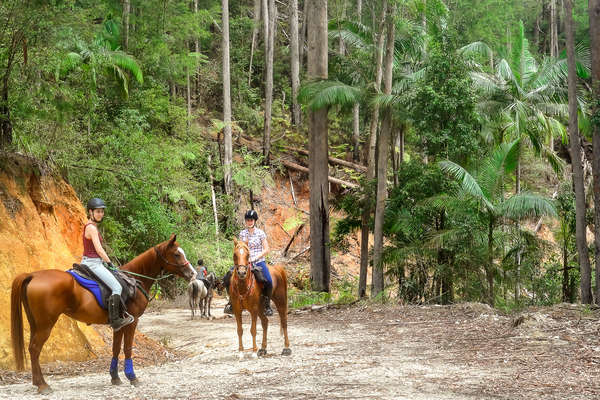 Trail riders riding in Australia, New South Wales