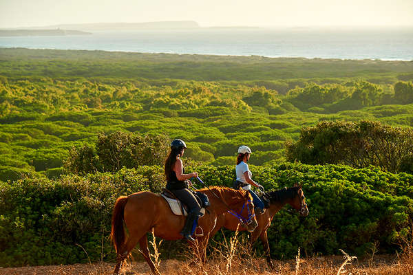 Trail riding and endurance riding in Sardinia