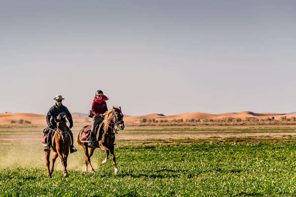 Two riders cantering on green grass in the Sahara