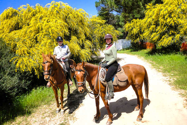 Two riders with trees in bloom behind them and their horses