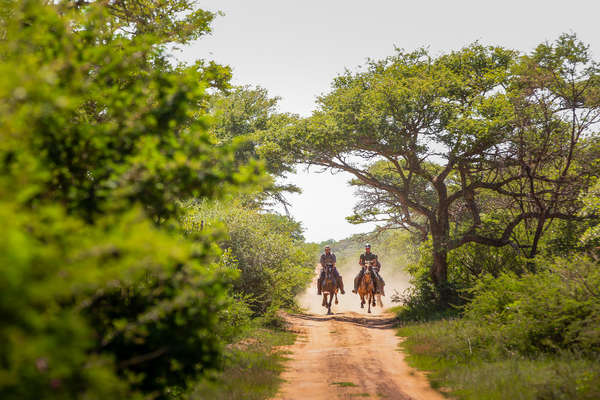 Two riding cantering through the bush at Ant's Lodges in South Africa