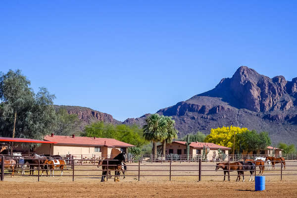 White Stallion paddocks at a guest ranch in Arizona, USA