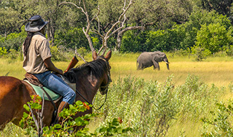 Across the Okavango