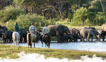 hwange big five riding safari