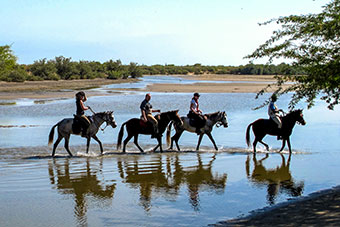 Senegal, the delta of the sine saloum