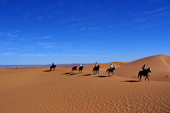 Morocco desert cavalcade
