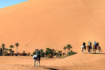 morocoo, horses, dunes and nomads