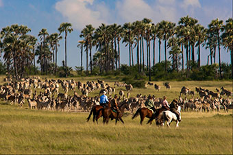 Botswana Kalahari ride