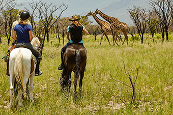 South Africa, Big five safari