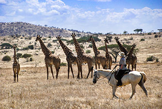Tanzania, South Amboseli Safari