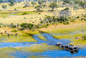 Choosing your Okavango Delta safari