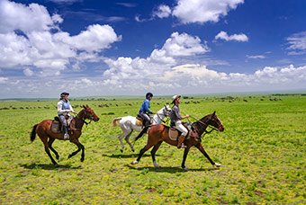 Serengeti migration safari