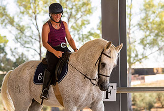 Epona High School Classical dressage