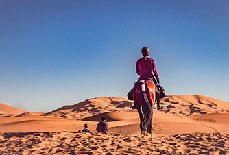 Horses, Dunes & Nomads