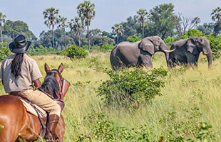 Getting ready for an African horse safari!