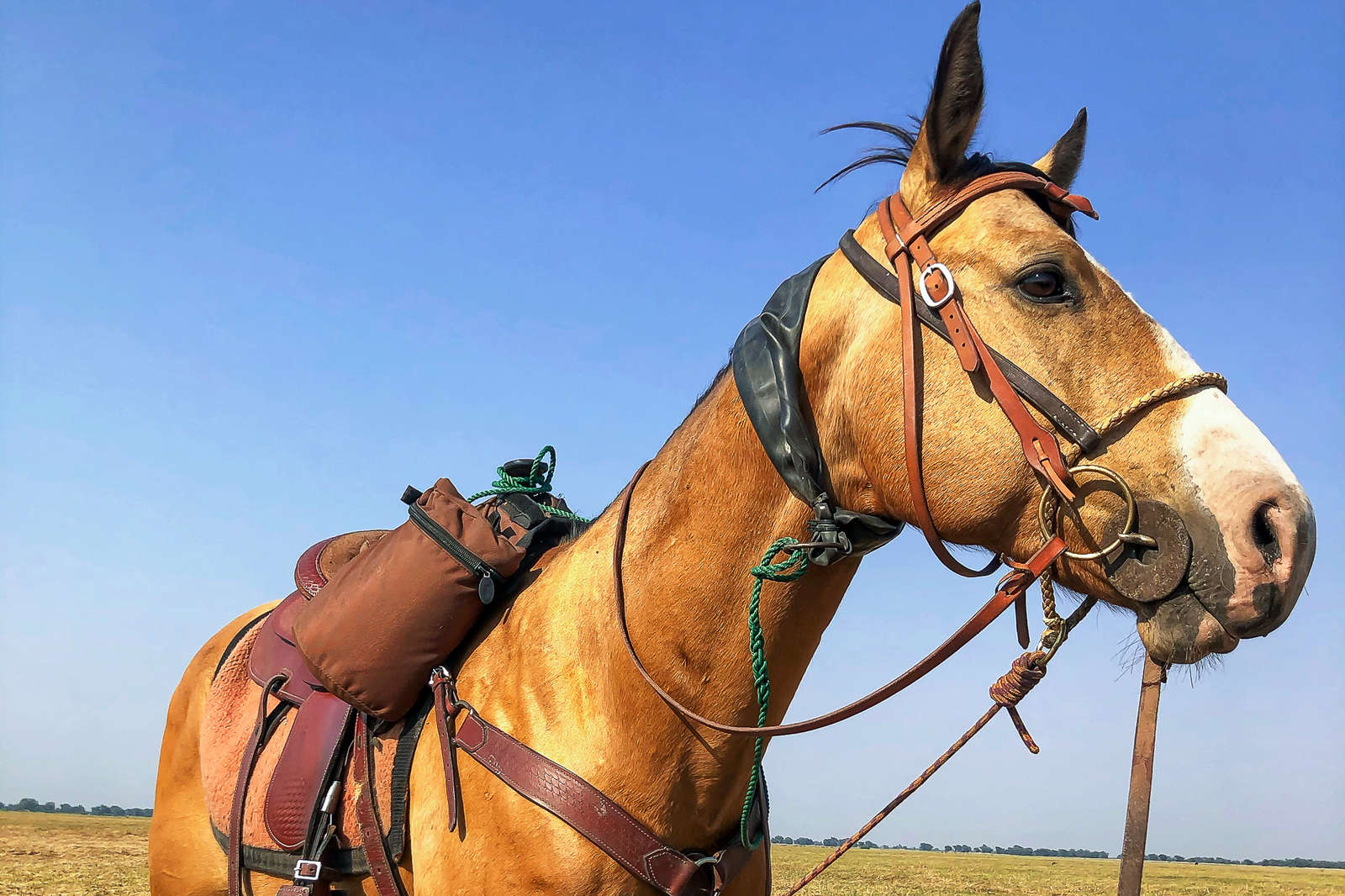 Discover Zambia on an African riding adventure Equus Journeys