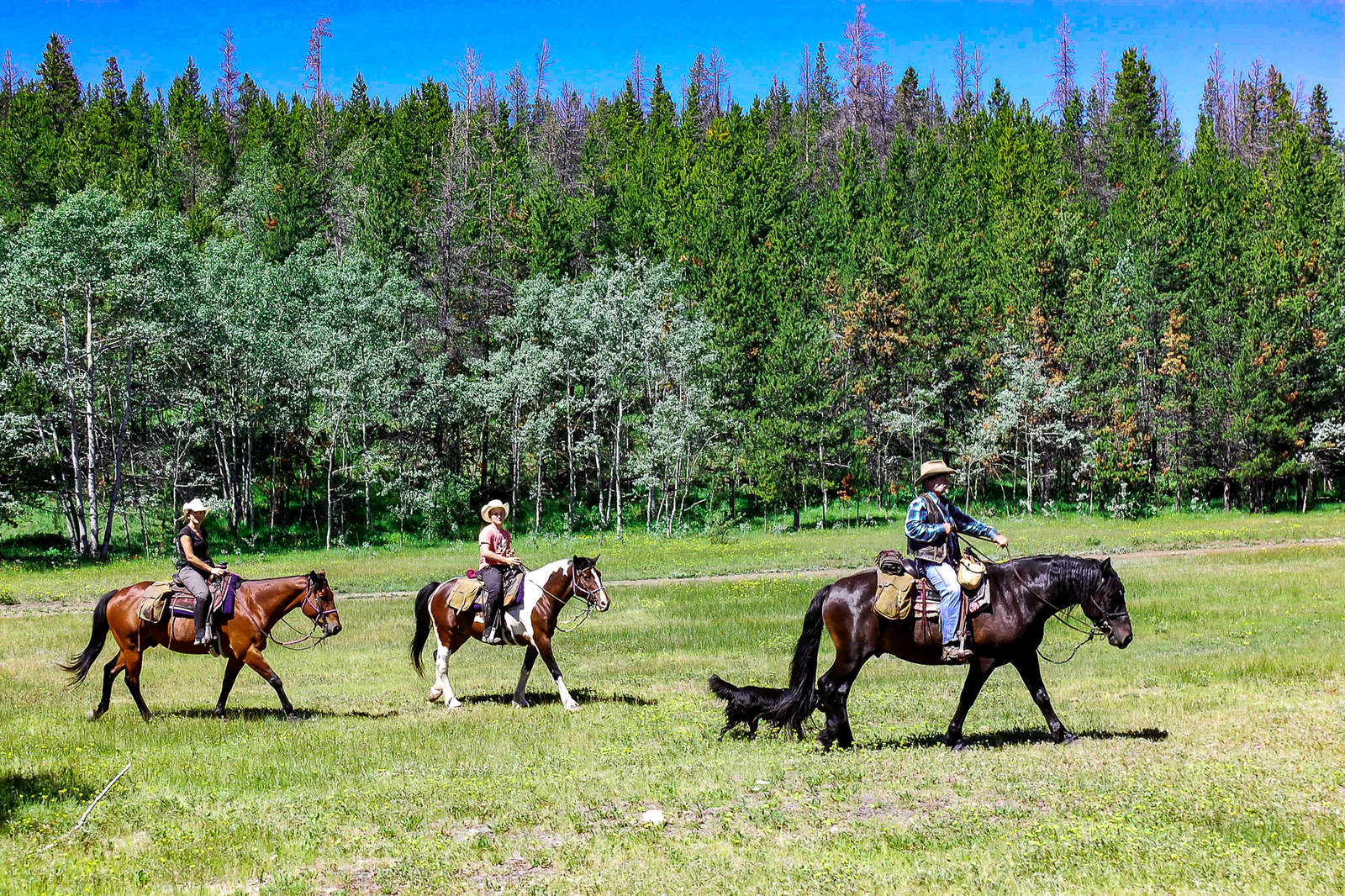 Horseback riding trails in Canada Equus Journeys