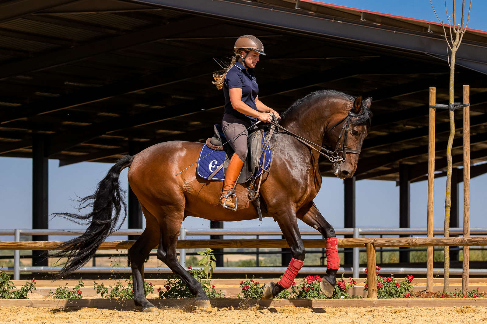 Practice your dressage skills in Andalucia, southern Spain Equus Journeys