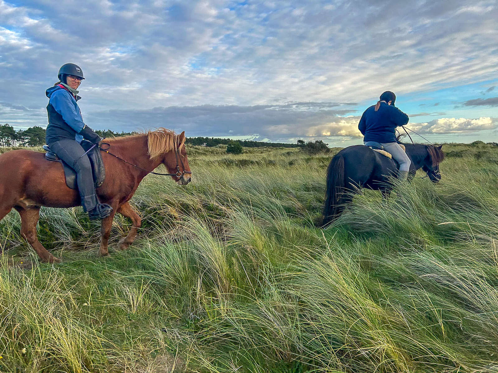 A flexible riding holiday in Denmark