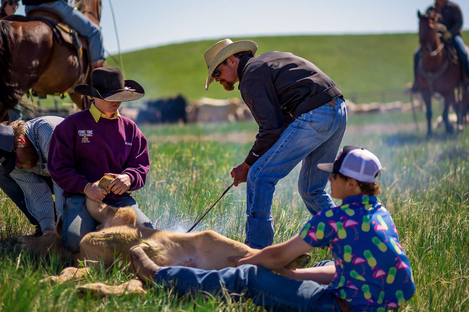 Someone Ranching Experience an authentic working ranch week in America